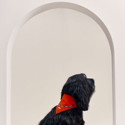 犬用トイ 《銜》 | Hermès - エルメス-公式サイト